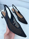 J. Renee Aleksa Black