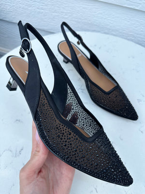 J. Renee Aleksa Black