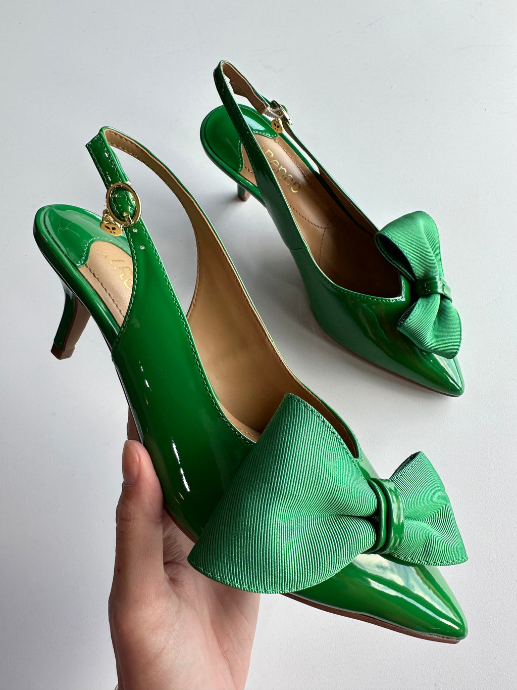 J. Renee Devika Green Patent