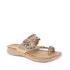 Ava Camel