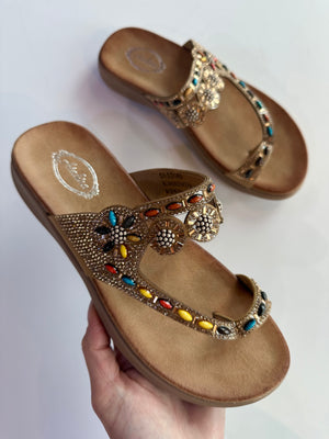 Ava Camel