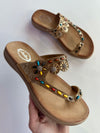 Ava Camel