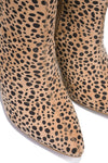 Paw Cheetah