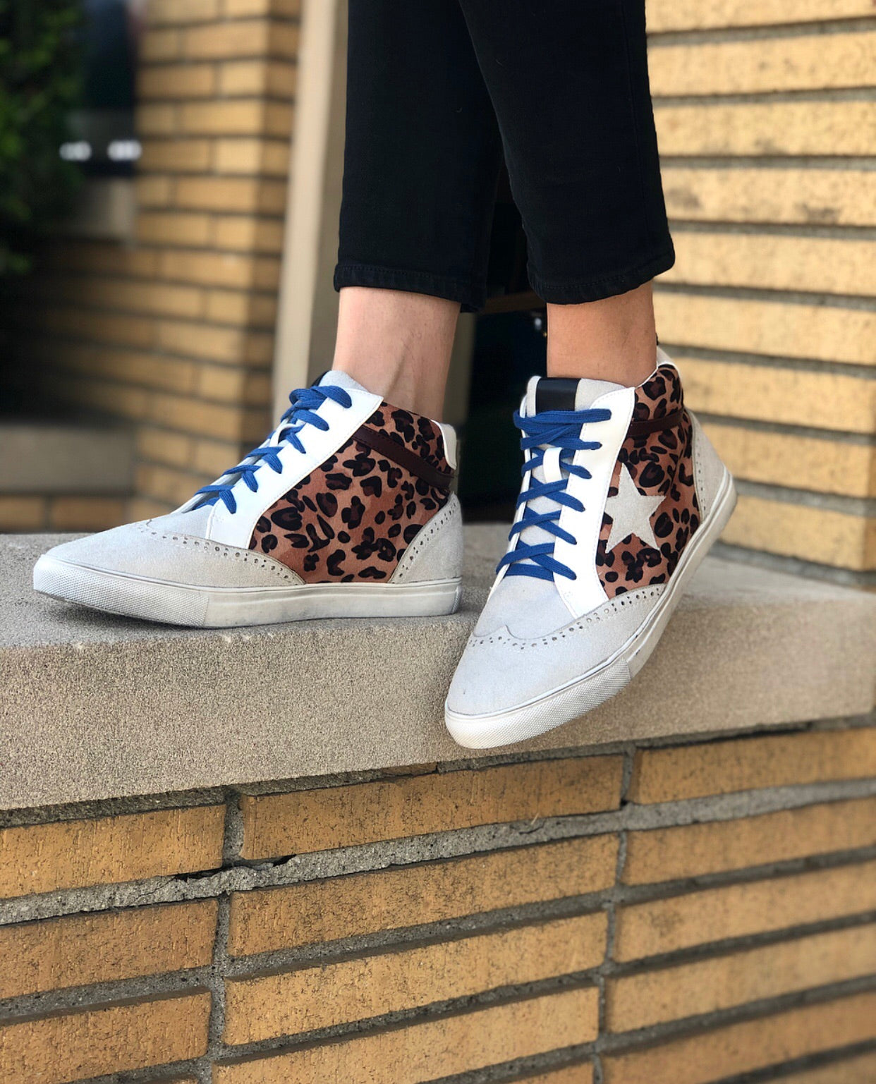 Skru ned Brace forhold Star Struck Sneaker Leopard/Blue – Village Shoe Inn