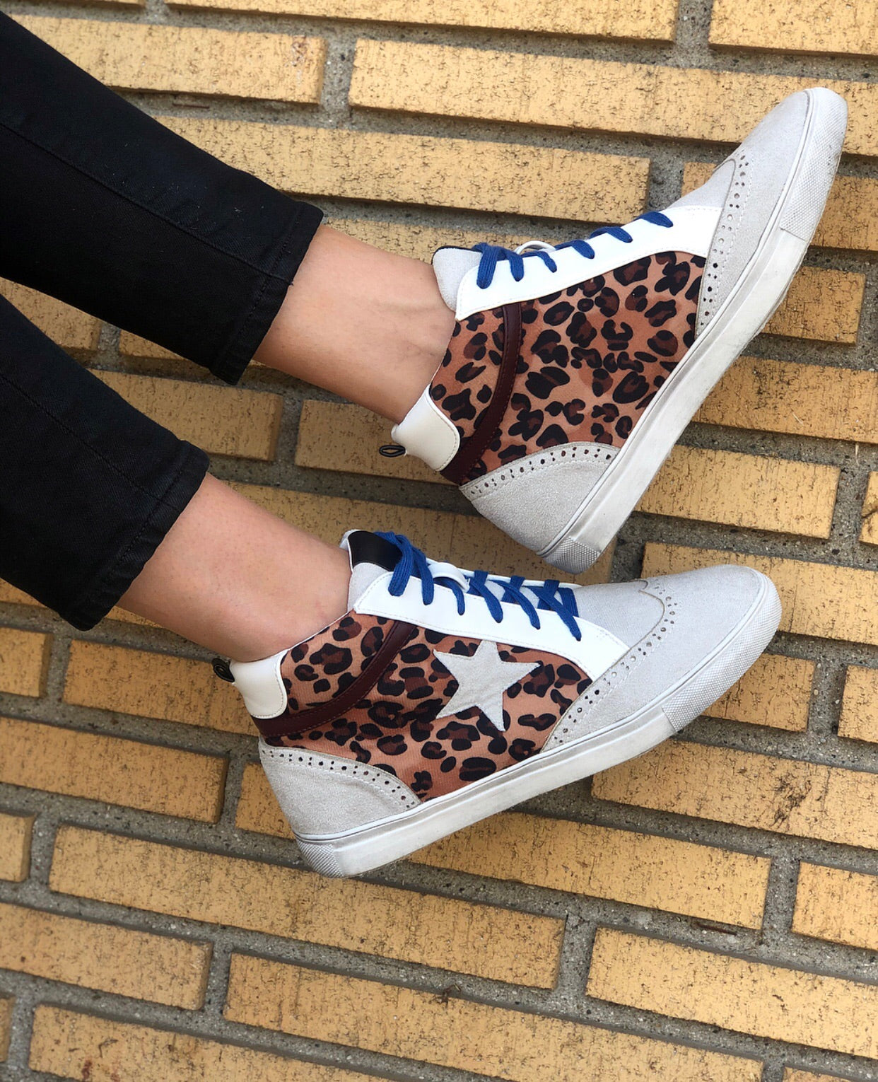 Skru ned Brace forhold Star Struck Sneaker Leopard/Blue – Village Shoe Inn