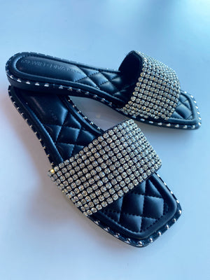Snowy Black